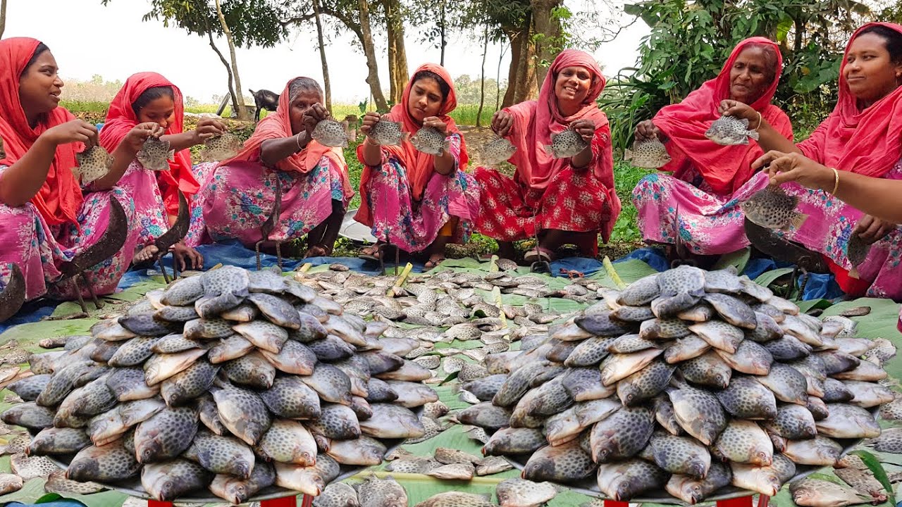 60 KG Expensive & Beautiful Spotted Scat Fish Cooking in Village - River Payra Fish Recipe