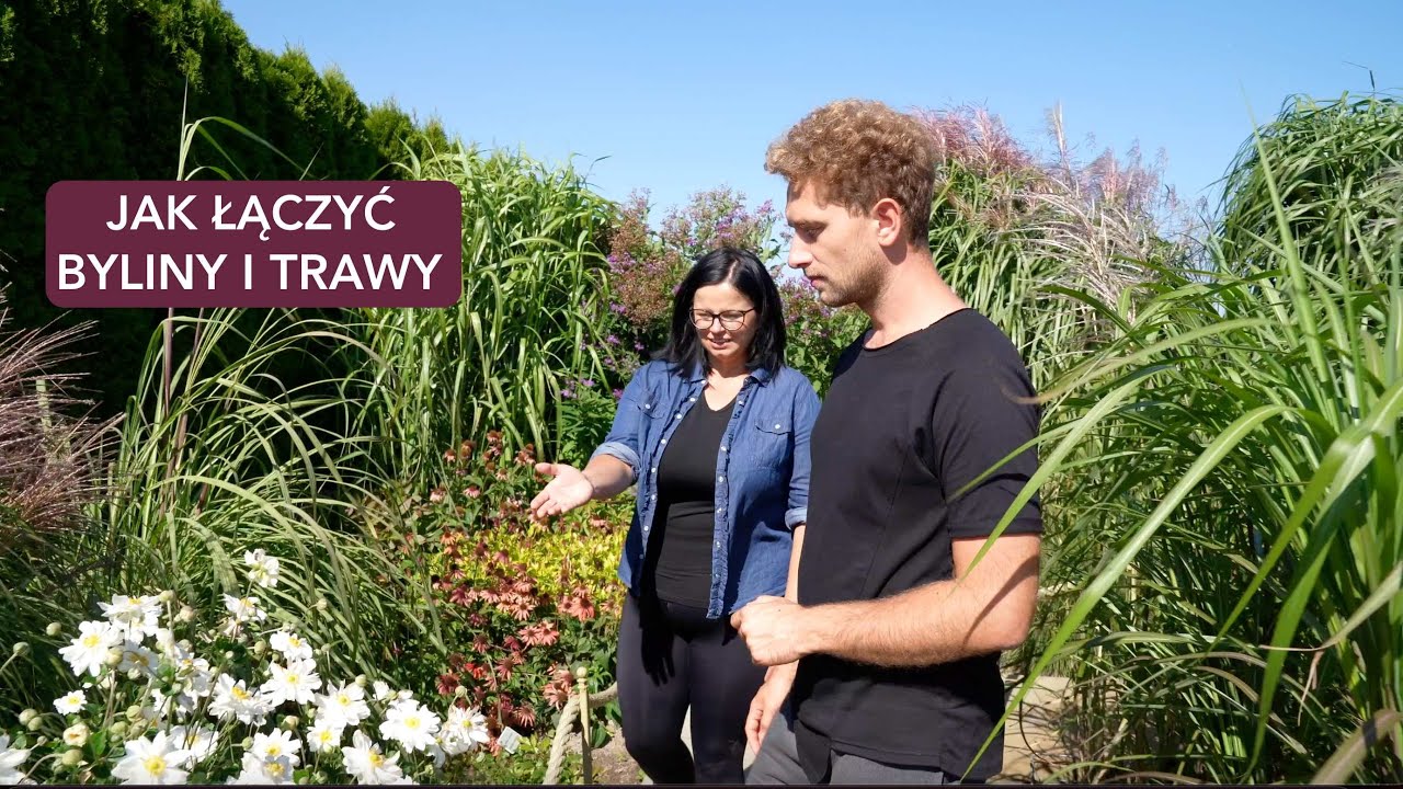 BYLINY I TRAWY W OGRODZIE. JAK ŁĄCZYĆ BYLINY Z TRAWAMI. SPACER PO OGRODZIE.  Ogród z Kasia in
