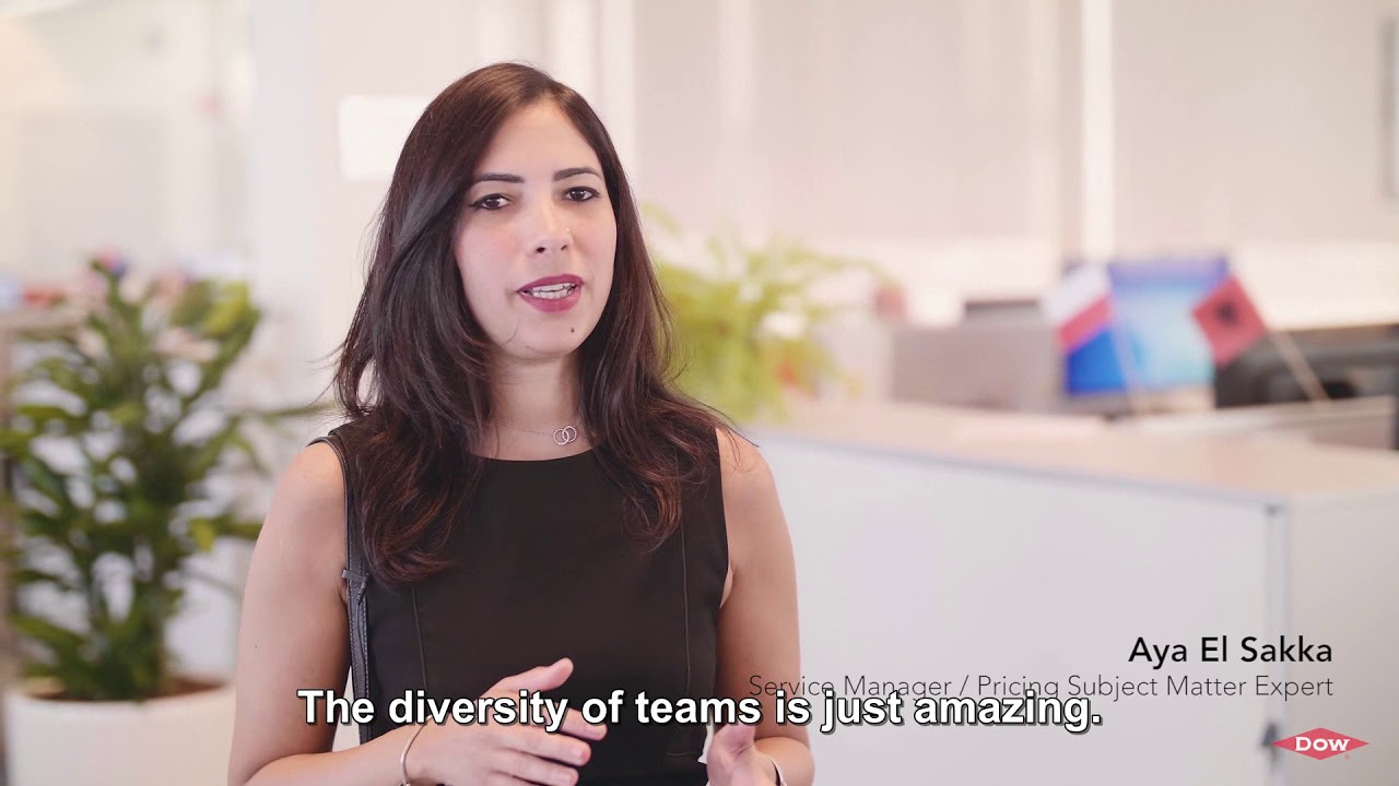Meet the Finance Team at Dow Terneuzen