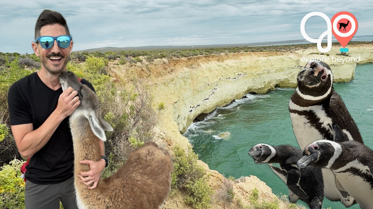Puerto Madryn Gone Wild | Top 3 Tours & Excursions