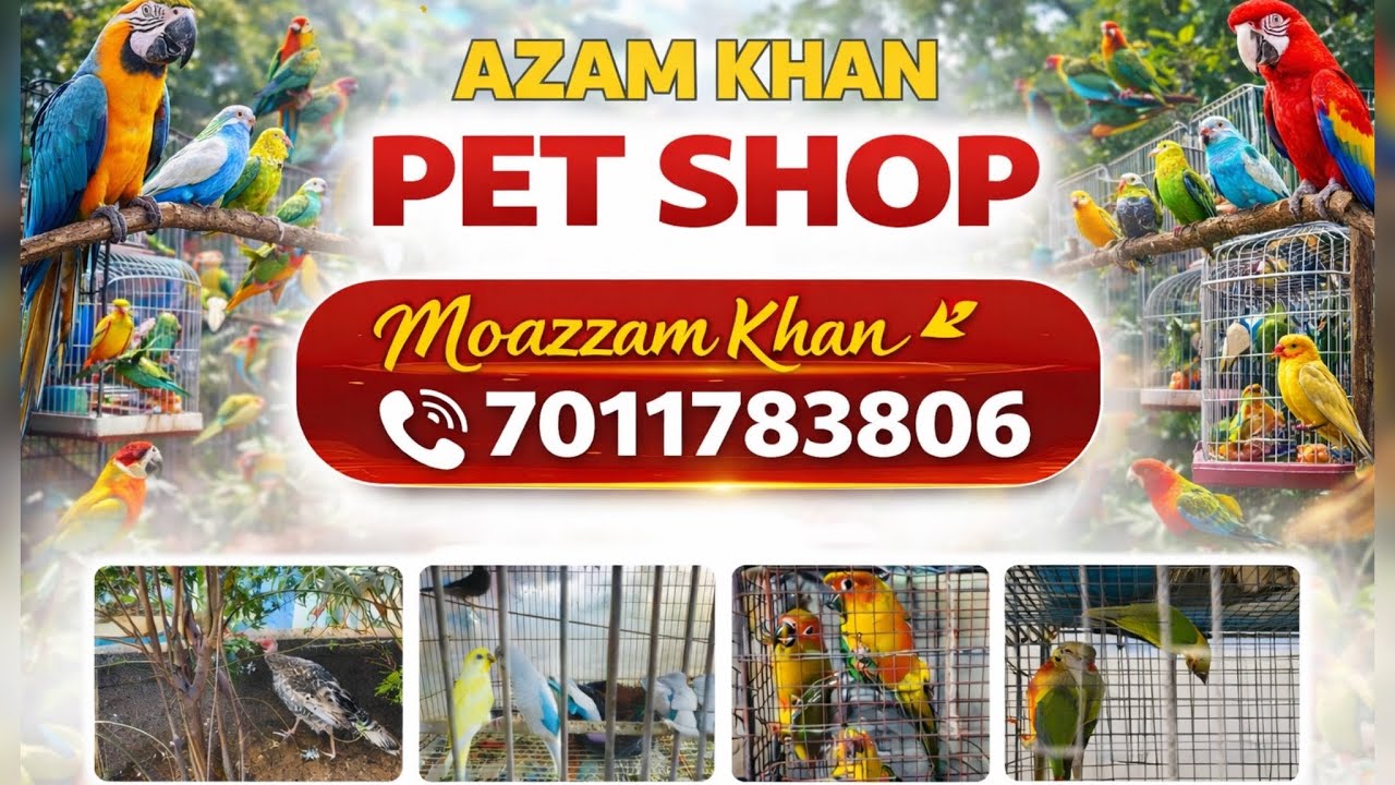 Azam Khan Pet Shop Lajpat Nagar Delhi | California Rabbit, Hamster & Exotic Birds Available 🐰🐹🐦