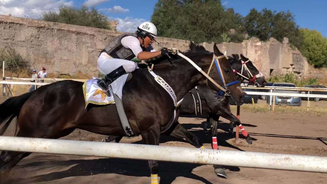 El Jefe Está En La Gran Final | Futurity Tapias Race Track, Durango Mex.