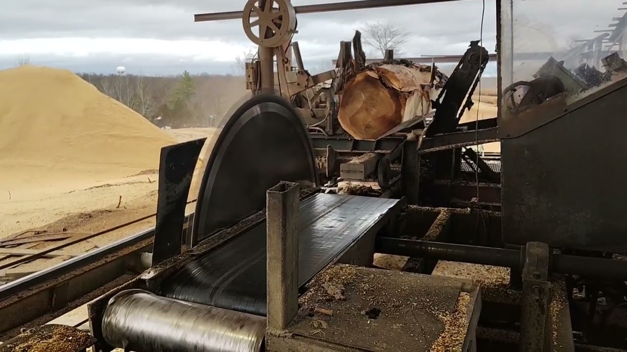 Sawing another monster Cotten log #sawmill #7