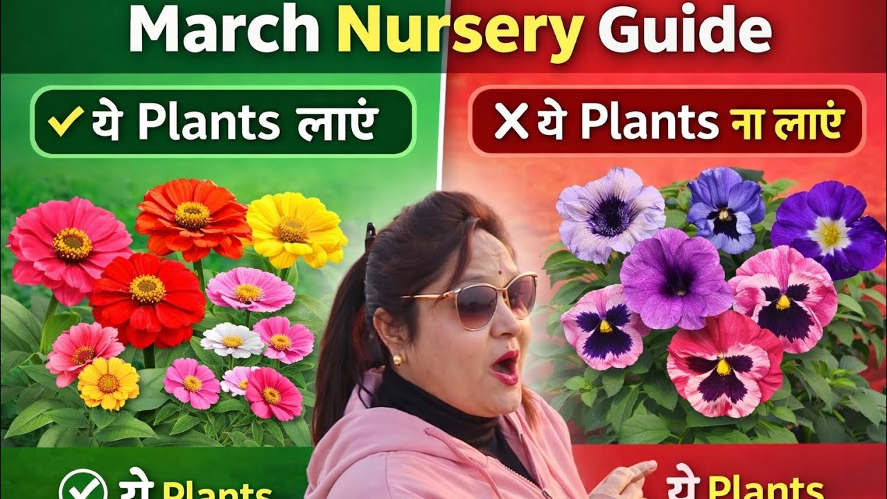 March में Nursery से कौन-से Flowering Plants लाएं? और कौन-से बिल्कुल ना लाएं | Gardening Tips