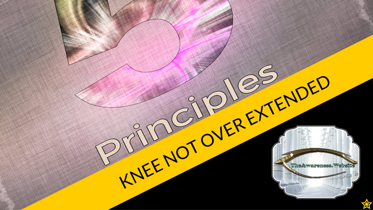 Tai Chi 5 Principles | Knee Not Over Extended