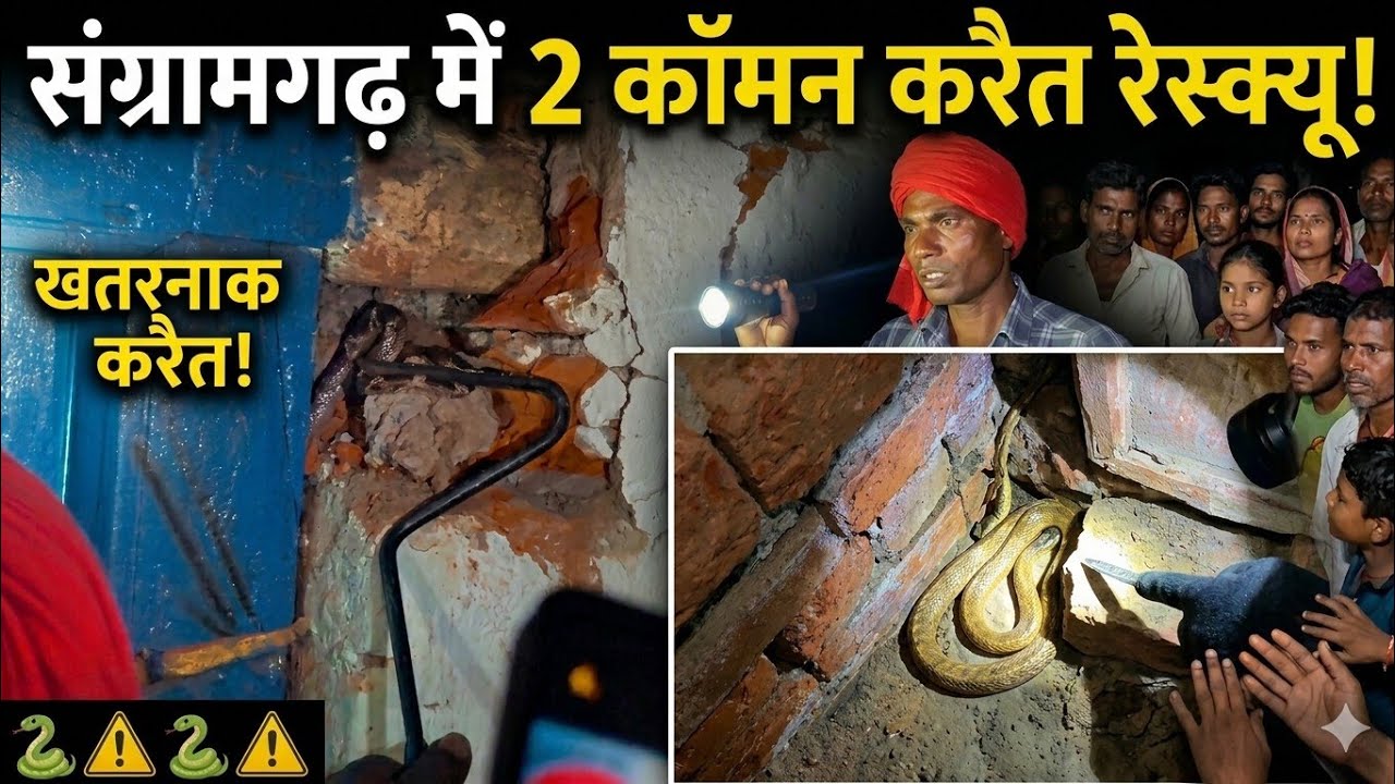 आधी रात को घर की दीवार से निकले 2 काल! देखते ही उड़ जाएंगे होश।