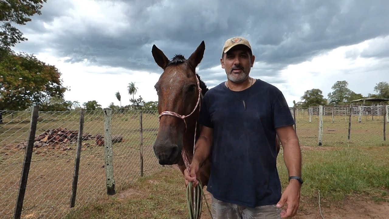 Jáquima o cabezada de cuerda para caballo muy fácil. Cabresto 7 nós muito facil.