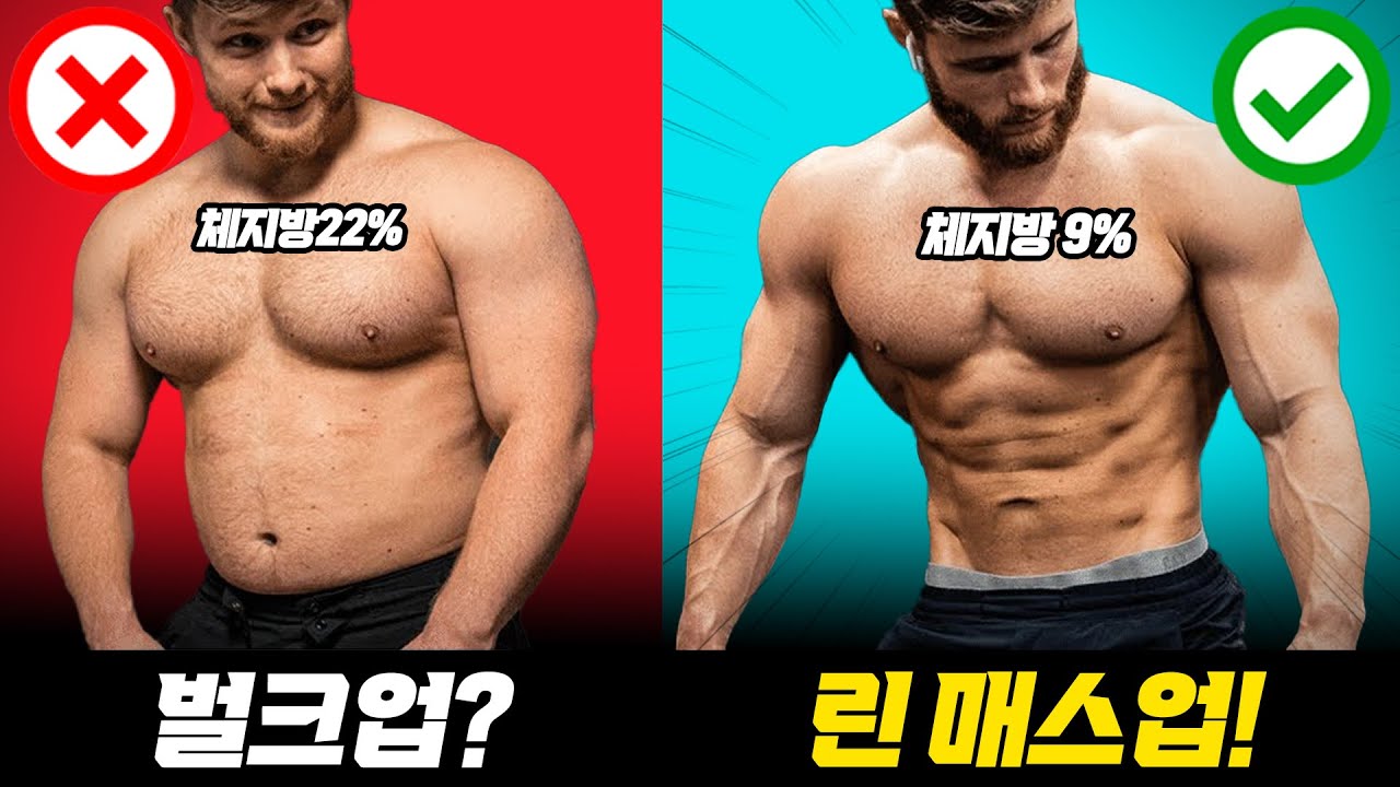 절대 벌크업하지 마세요-! 돼지 되기 싫으면 (린매스업 루틴 / 상승다이어트 / 빅머슬7 )