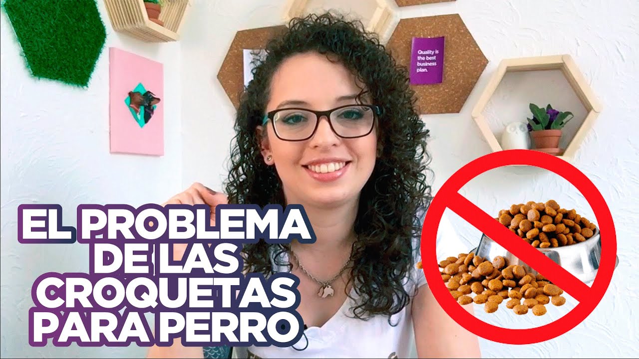El problema de las croquetas para perro | NUTRICIÓN CANINA