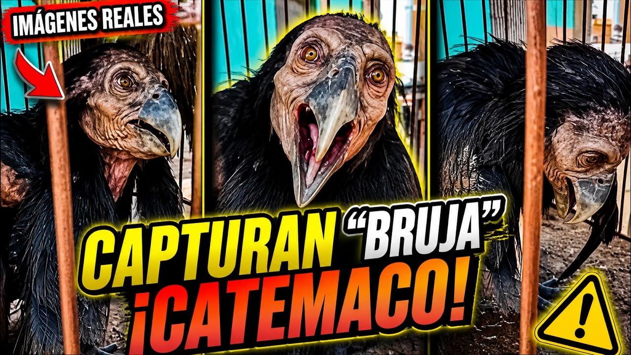 Capturan &ldquo;bruja&rdquo; en Catemaco y el video sacude a M&eacute;xico: &iquest;terror real o truco digital?