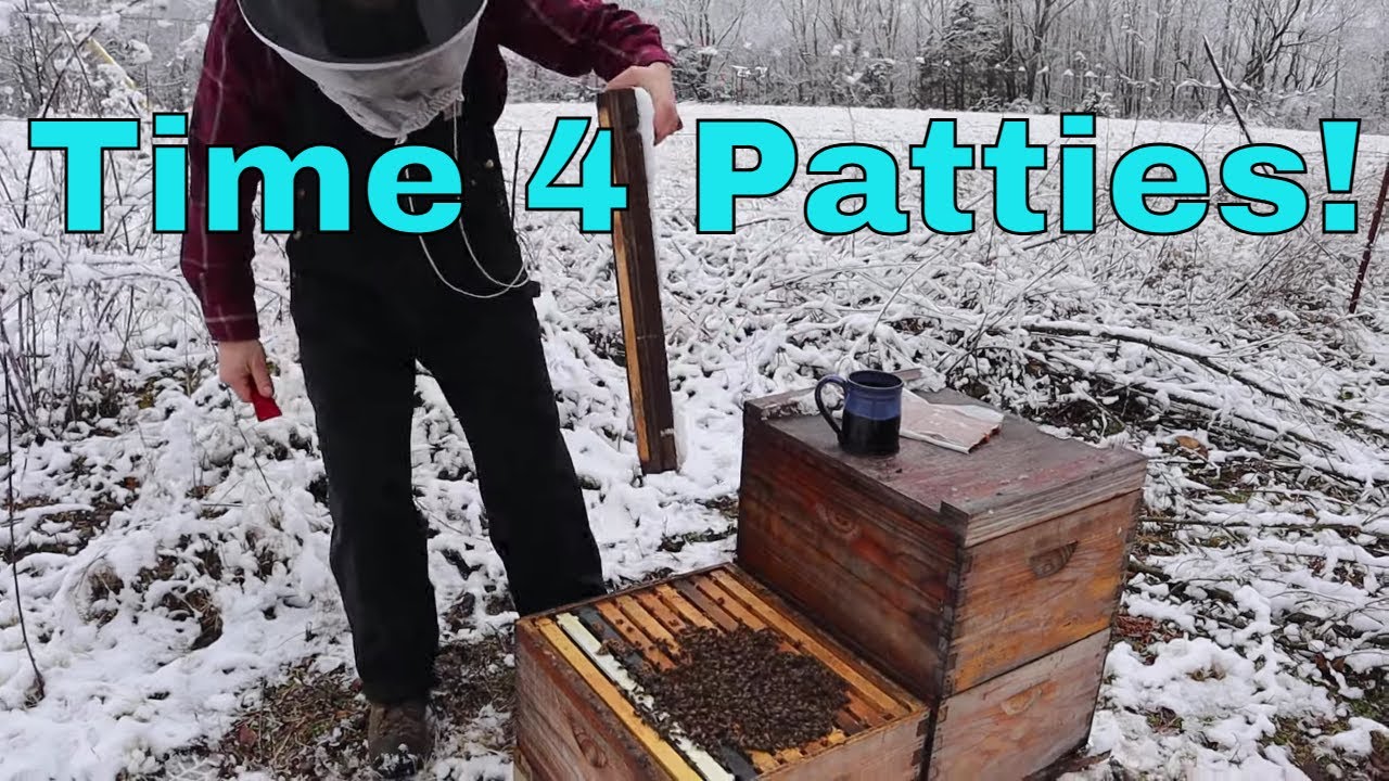 🔵Feeding Bees for Spring Build up - When we start!