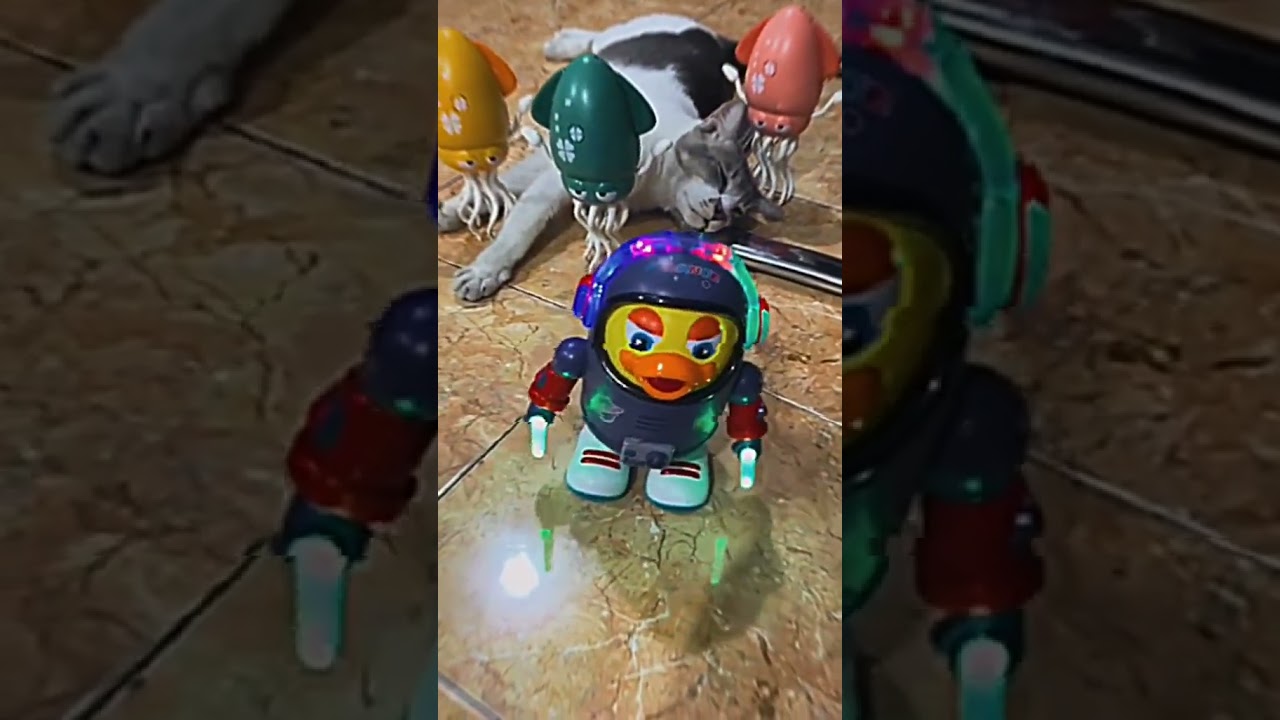 IZINNNNN #gaminggenz #mabarml #liveml #mlbbindonesia #mobilelegends #pushrank #supportstreamer