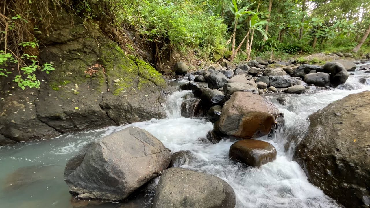 Gentle Forest River Flow 🌊 Deep Sleep Relaxation & Calm Mind Nature Sounds