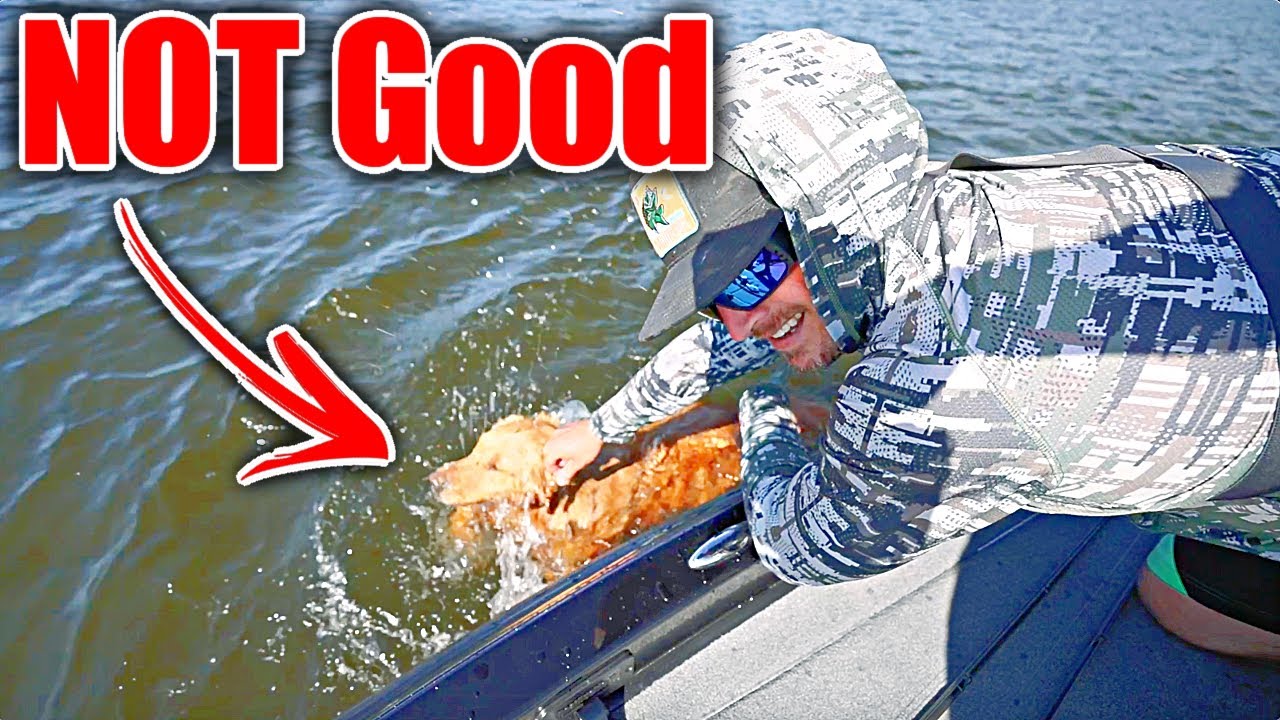 Priorities Changed IMMEDIATELY during my fishing trip...