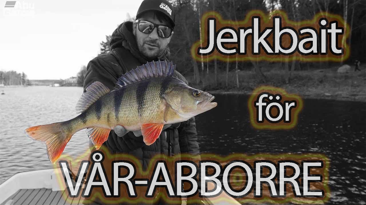 Lär dig - JERKBAIT för VÅR-ABBORRE