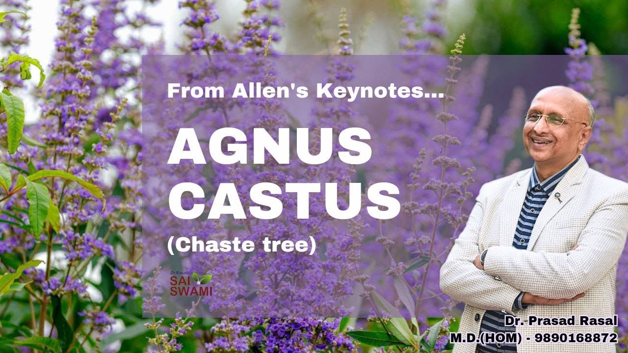 Мой опыт с Agnus Castus...