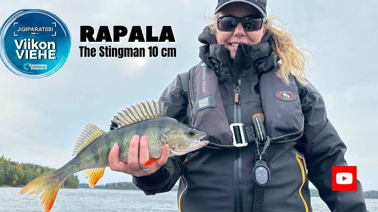 Rapala CrushCity The Stingman 4