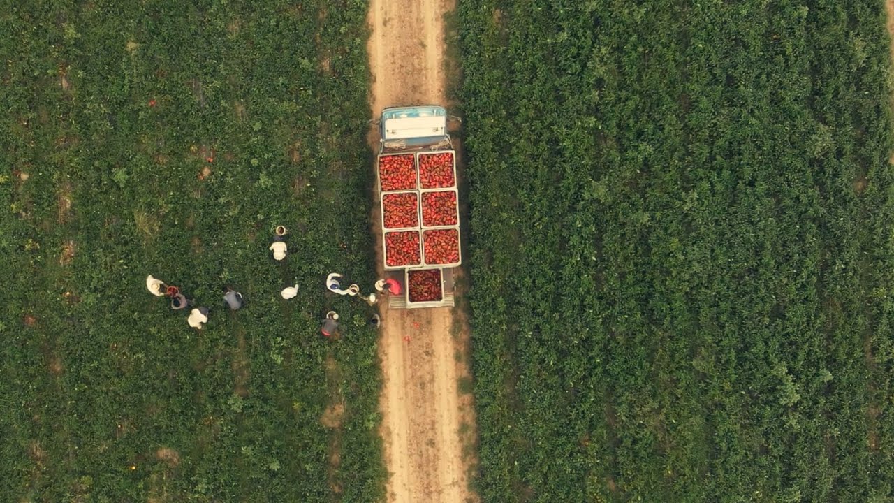 The spice route: Rwanda's chilli exports