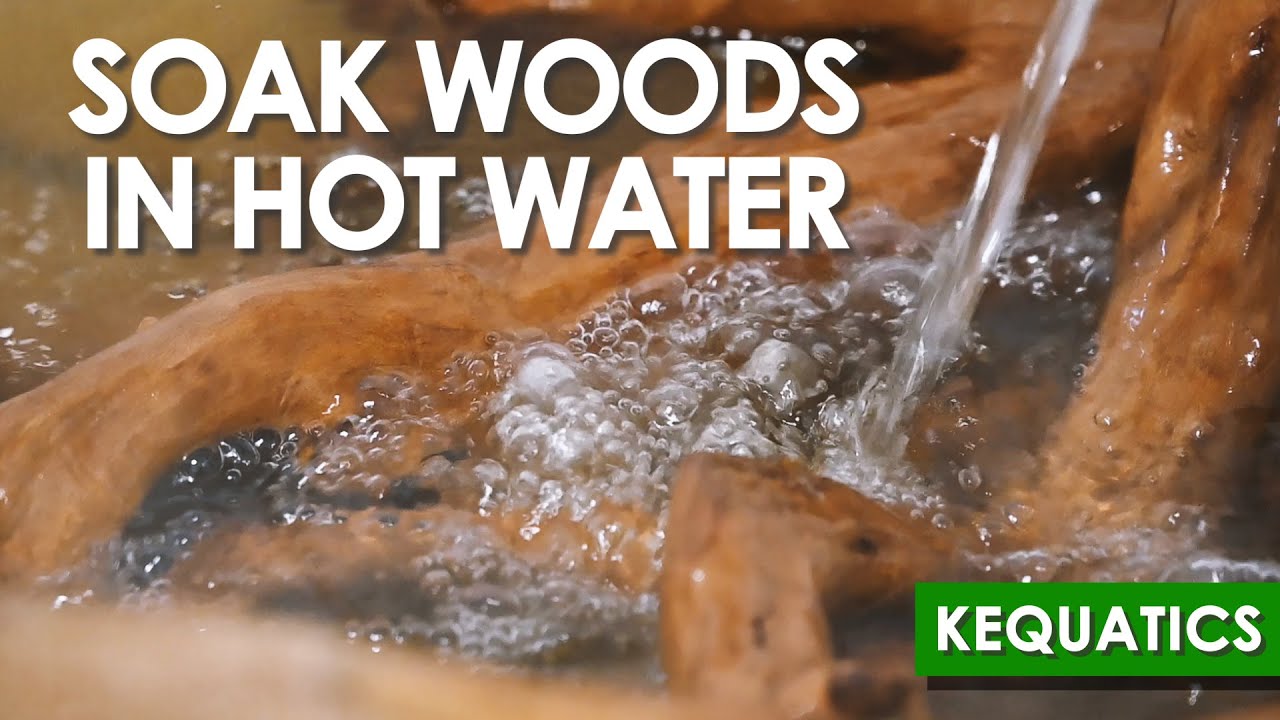 How to Prepare Driftwoods for Aquarium