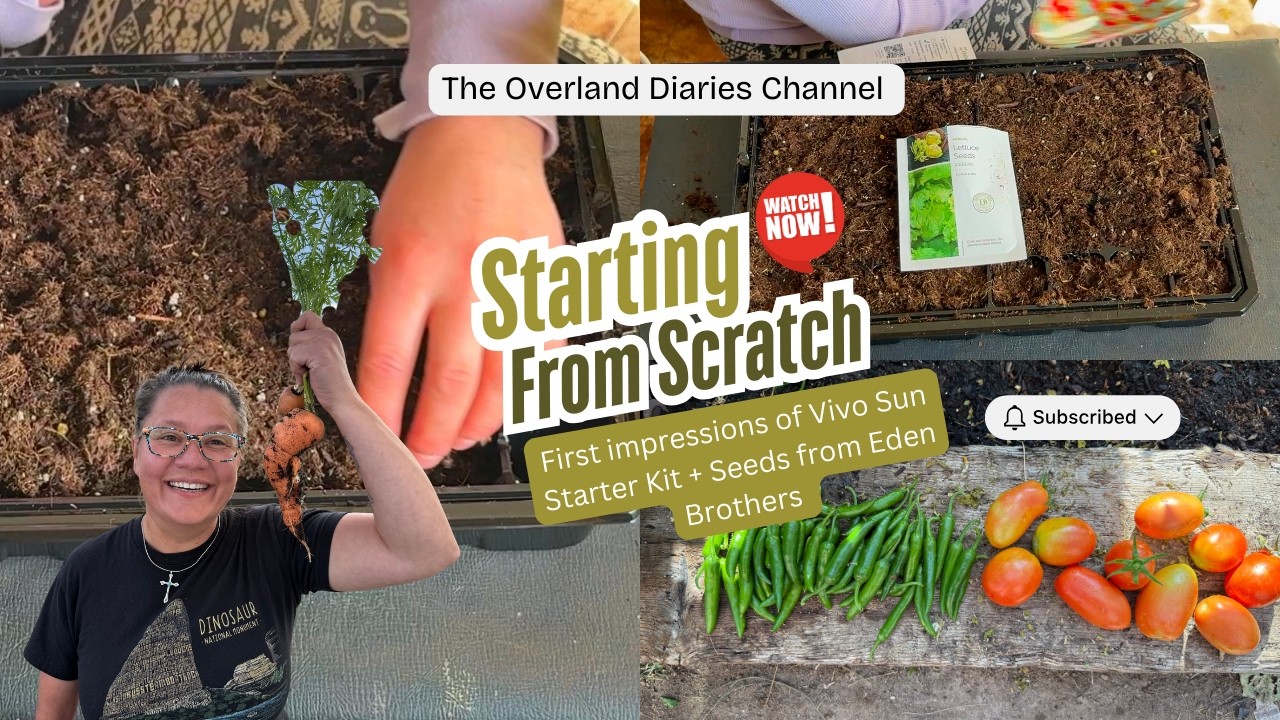 Aphids Ruined My Garden… So I Tried the Vivosun Seed Starter Kit 🌱