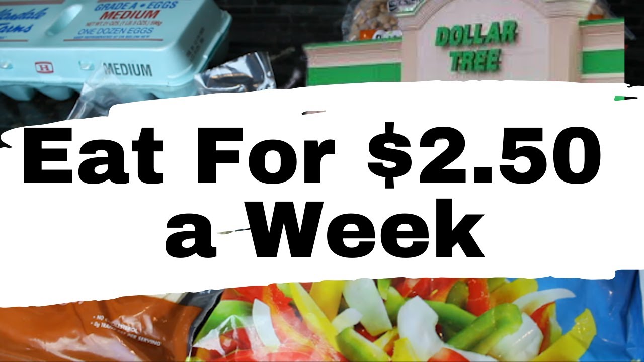HOW TO EAT $5 FOR 2 WEEKS  | EMERGENCY EXTREME BUDGET GROCERY HAUL &  MEAL PREP 2020 | Cook With Me