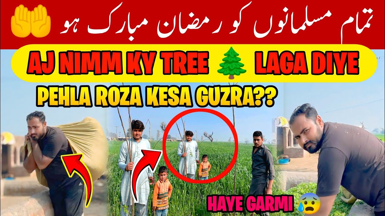 Ramzan Mubarak 🤲 | First Roza Kesa Guzra? 😍 | Aaj Nimm Ka Tree Lagaya 🌳 | Ramadan Vlog 2026