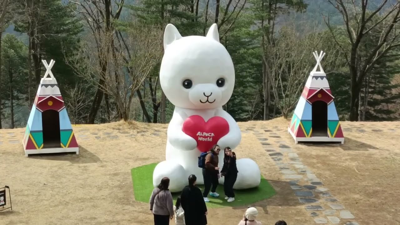 Alpaca World in Gangwon-do, South Korea PART 2  / Vlog Review No. 306