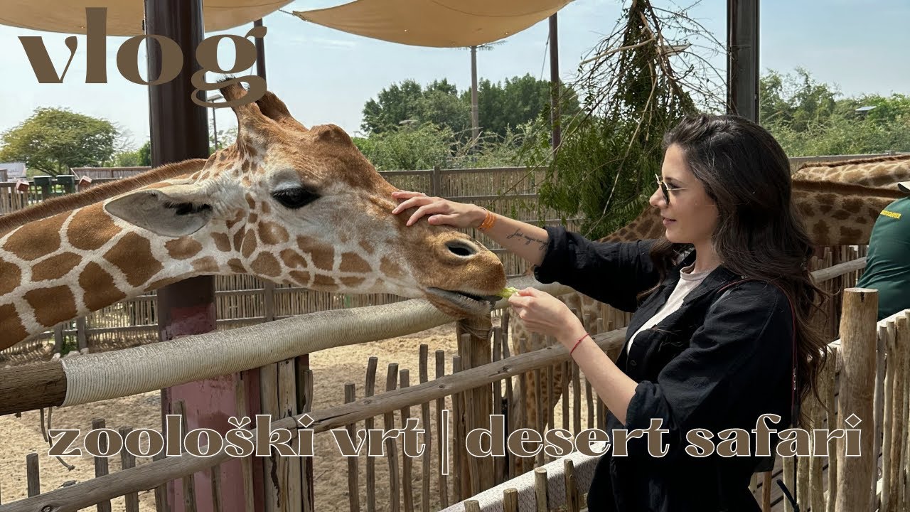 konačno smo otišli na DESERT SAFARI, gdje kupujem kozmetiku u Dubaiju, Dubai Safari Park | VLOG