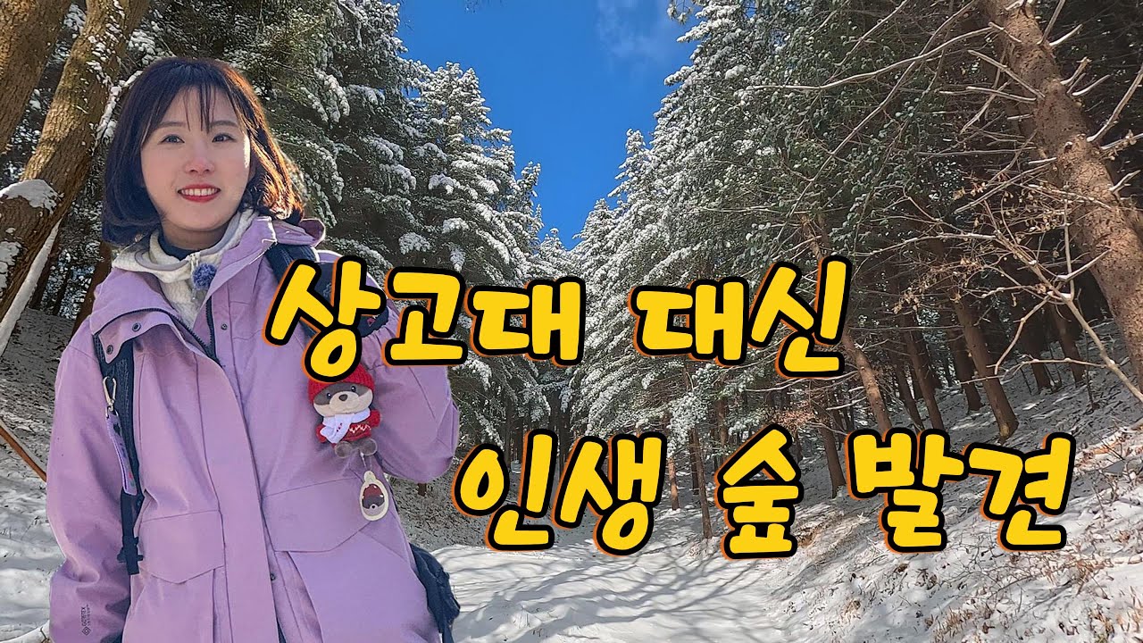 ⛰️경기도 석룡산ㅣ 상고대 찾으러 갔다가, 뜻밖의 인생 설산을 만나다ㅣ잣나무숲ㅣ등산코스ㅣ겨울산 추천