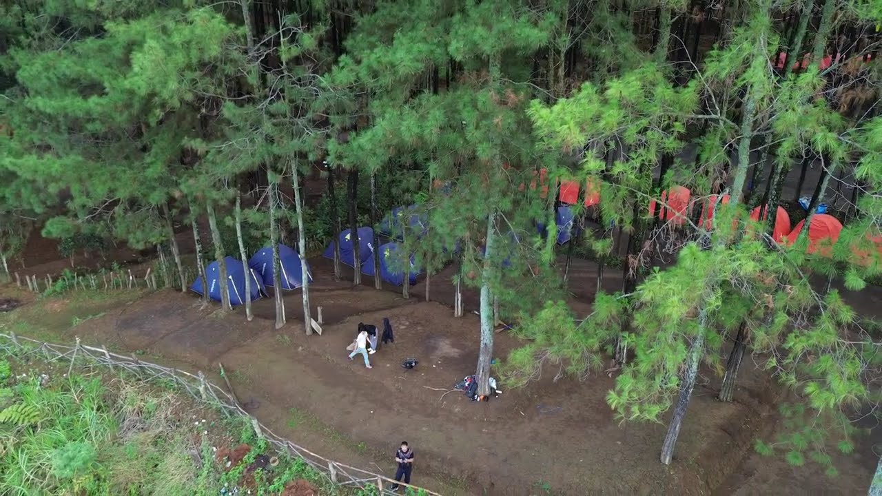 drone hutan vinus trawas mojokerto