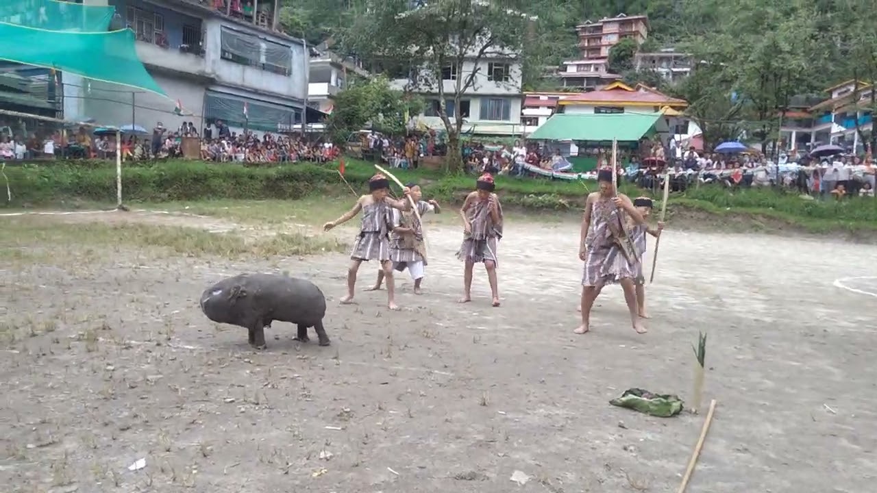 lepcha dance by P O C school.
