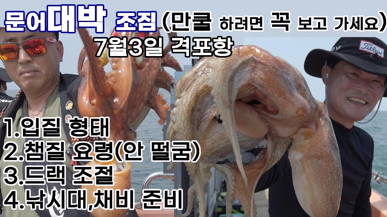 올해 격포 문어 대박 조짐, 낚시방법 채비 사용법등 초/중급 필독