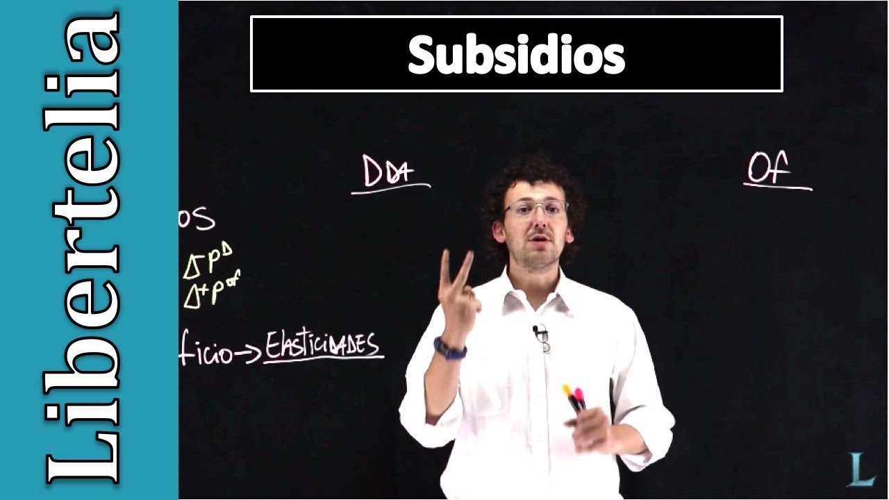 Subsidio a la oferta vs subsidio a la demanda | Microeconomía | Libertelia