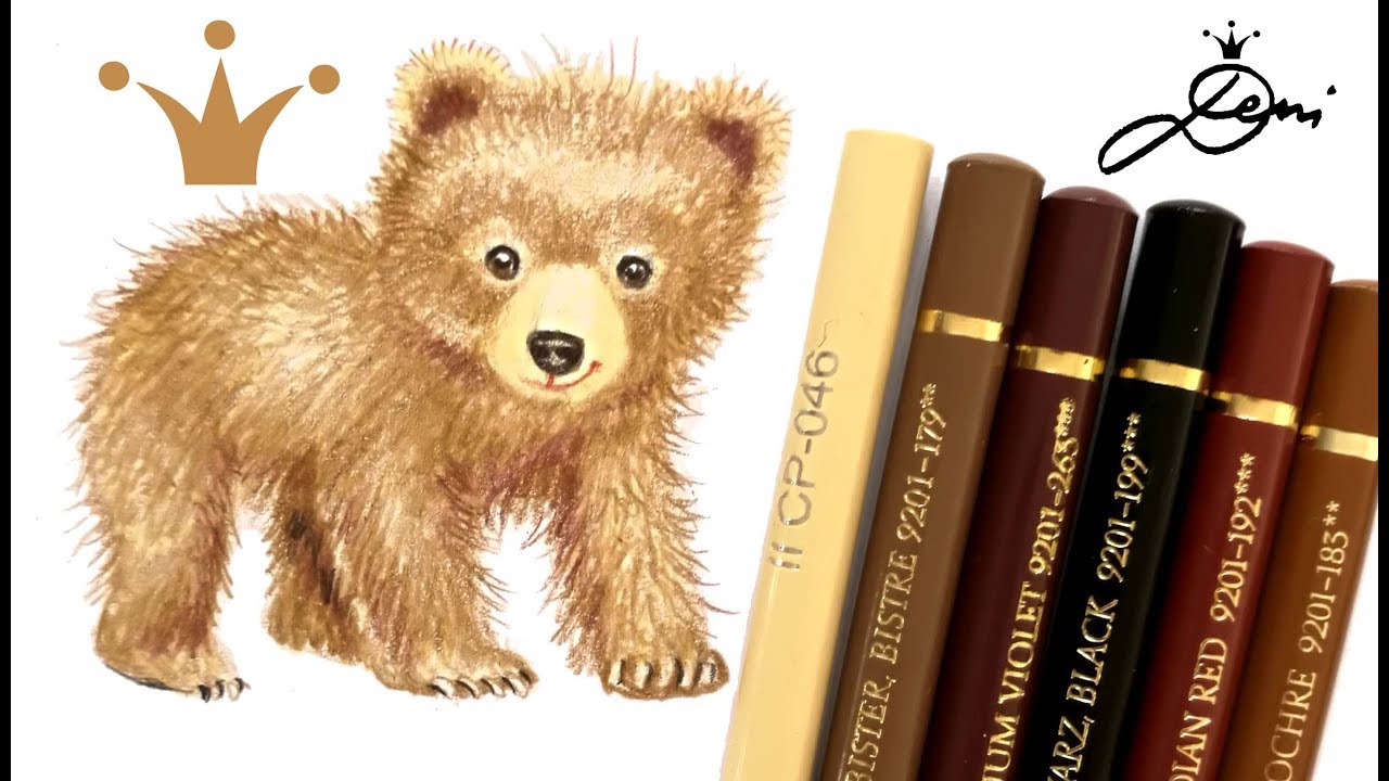 Bär zeichnen lernen 🐻 Braunbär mit Polychromos malen 🐻 How to draw a bear?