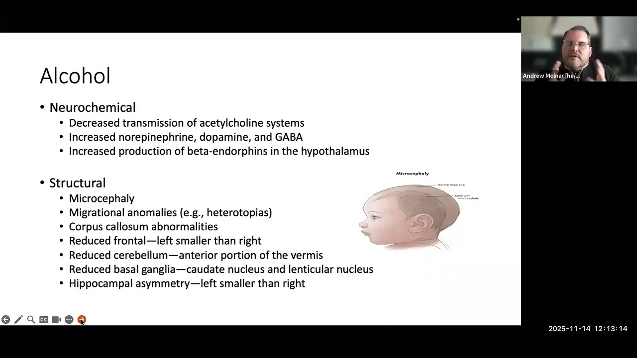 Neurobehavioral Functioning of Children Prenatally Exposed to Substances with an Emphasis on NAS