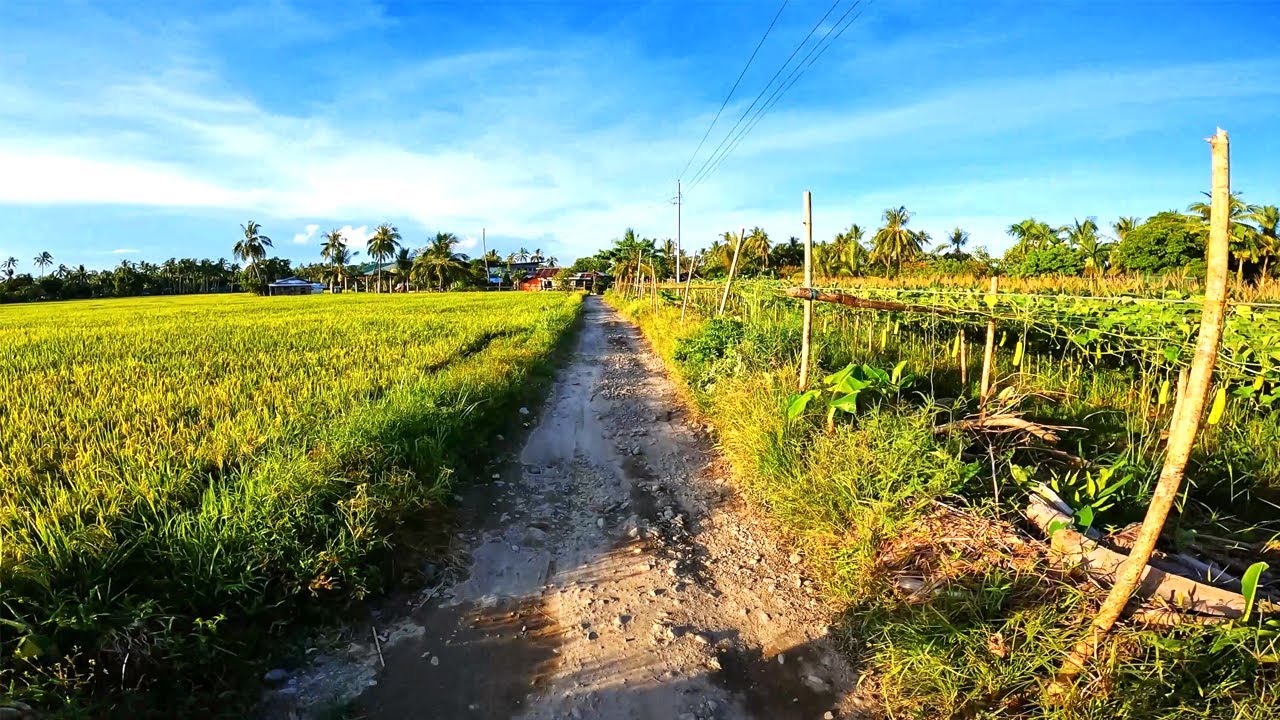 Malangto Pagsang-an Abuyog Leyte road trip