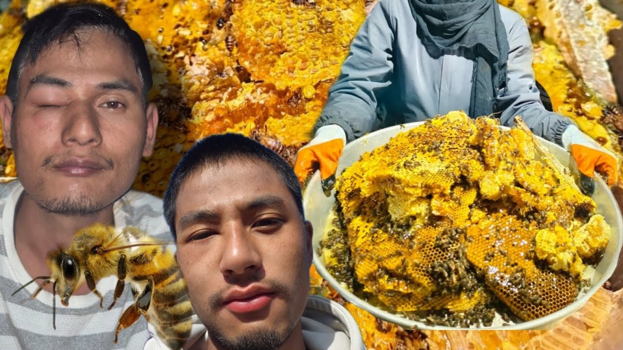 Apne ghar ka meetha mehnat ka phal 🍯bee 🐝 