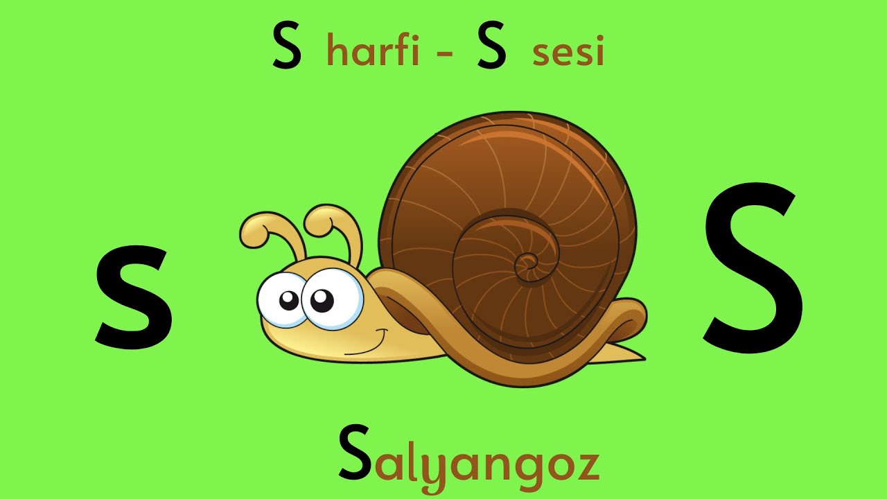 S sesi Öğretimi - S harfi Oyunu