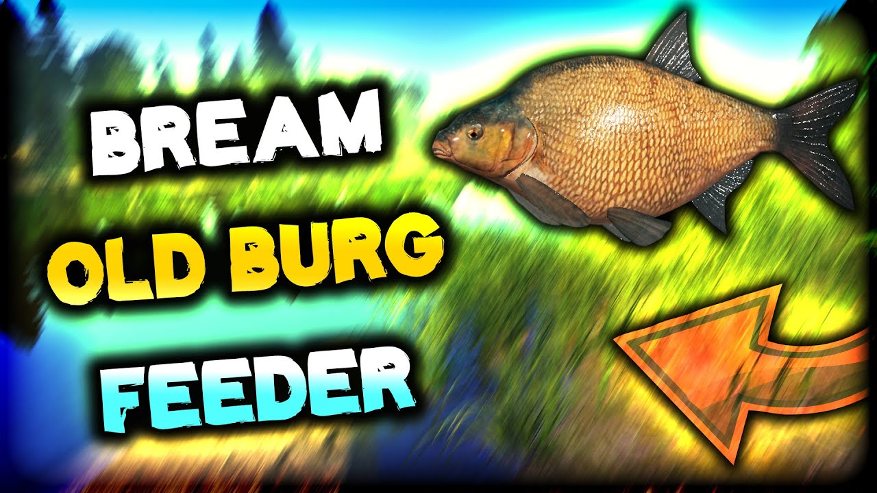 BREAM JE POLUDEO! OLD BURG BREAM FISHIG | Russian Fishing 4
