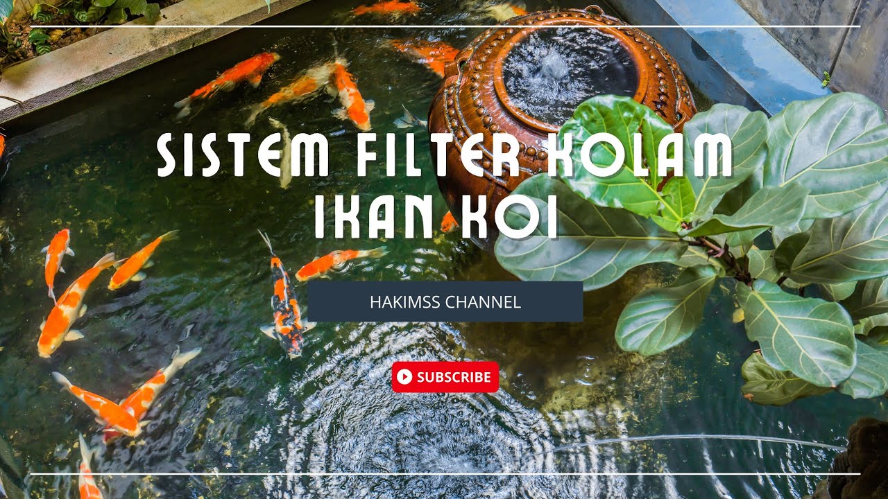 Media Filter Kolam Koi 4 Chamber | Jernihnya Tahan Lama