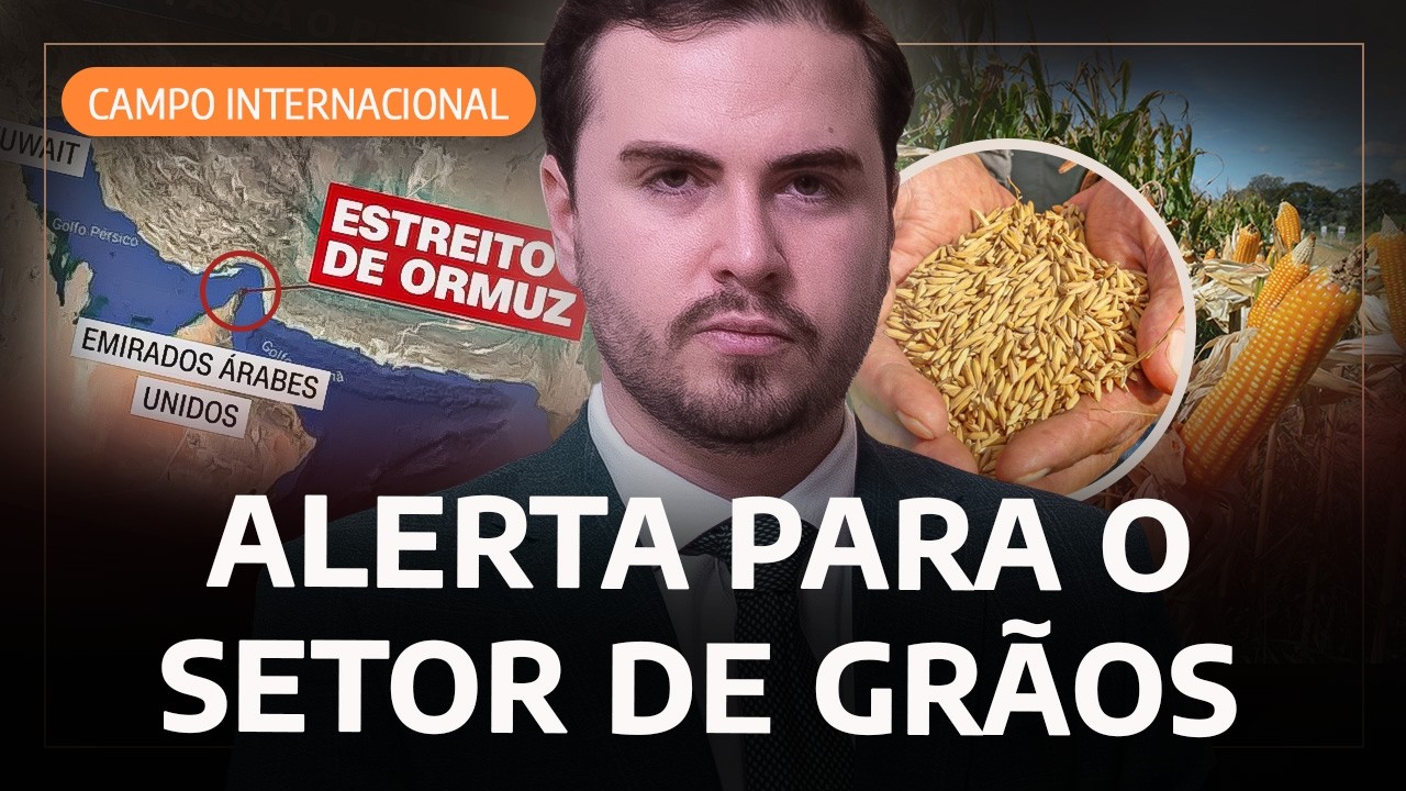 Entenda como a alta do óleo diesel pode aumentar o custo da safra de grãos