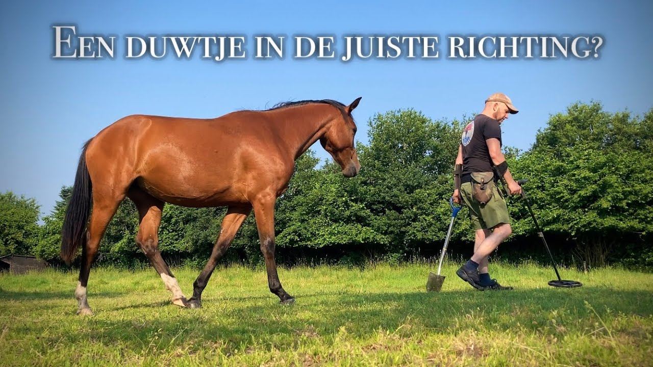 Een duwtje in de juiste richting... ZILVER! | Metaaldetectie op de Veluwe | 26 + 27 juni 2024