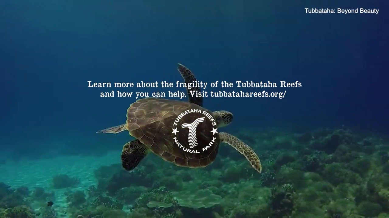 Tubbataha: Our fragile reefs