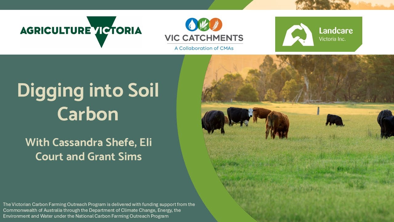 Digging into Soil Carbon