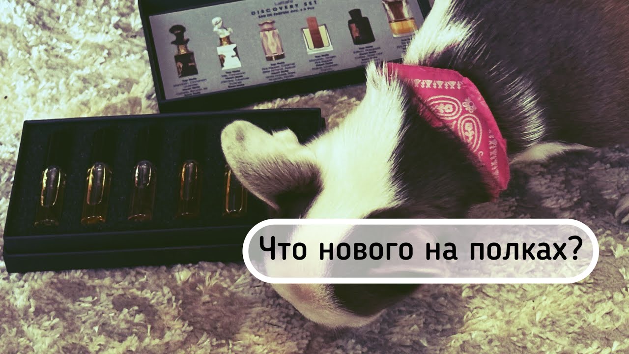 Чем пополнилась моя парфюмерная библиотека за это время? Смотрим вместе 💓