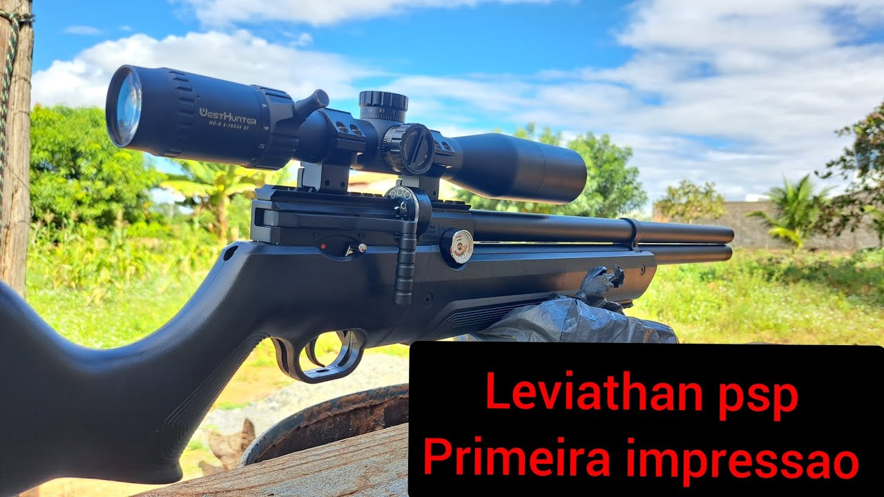 Leviathan psp 5.5 carabina de entrada da Nova Vista