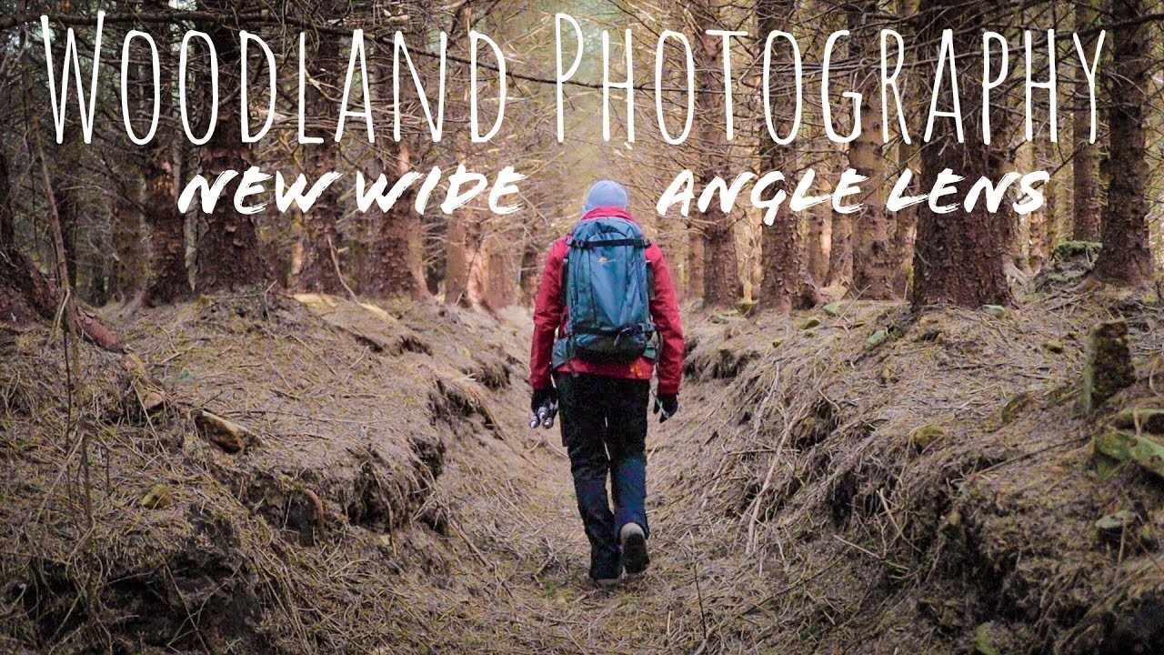 Woodland Photography With The Tokina 11-16mm AT-X Pro