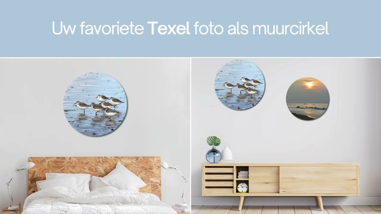 Texelphotos.nl - Muurcirkel strandlopers