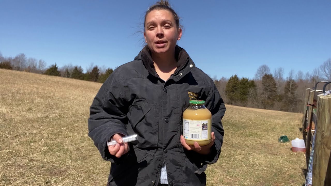 How to Make Your Horse LOVE Taking Oral Medications!