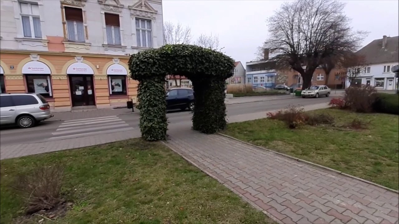 Drezdenko   Rynek